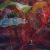 Whispering_Leaves I
